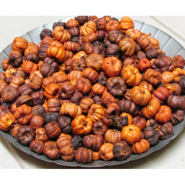 StarHollowCandleCo Putka Pods Scented | Wayfair